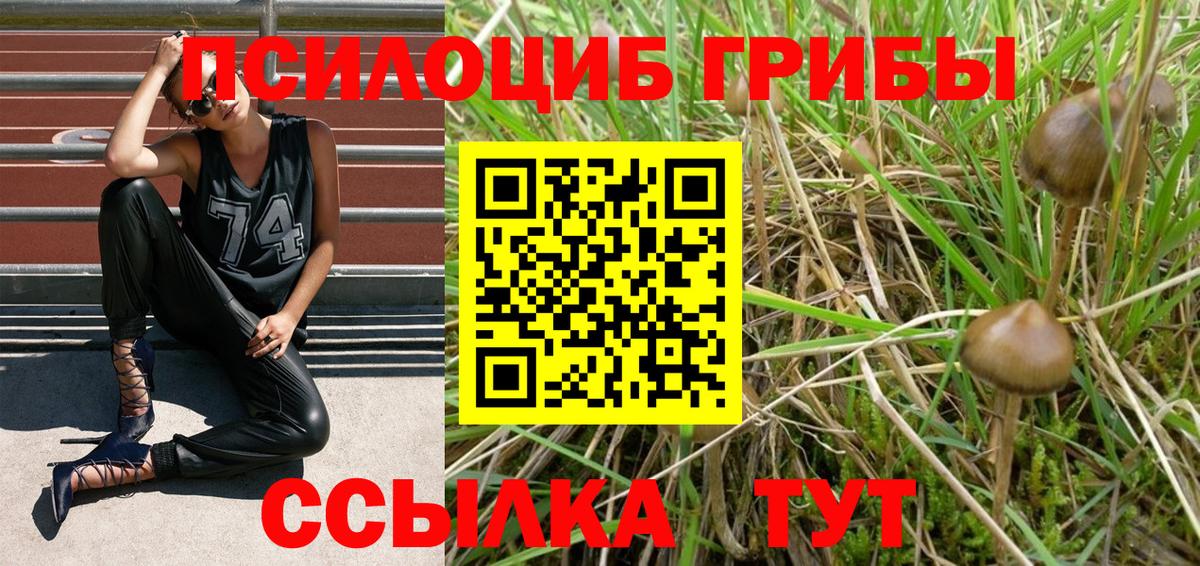 Псилоцибиновые грибы GOLDEN TEACHER  Вход с VPN  Великие Луки  Галлюциногенные грибы Cubensis 