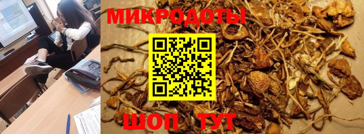 Галлюциногенные грибы мицелий Великие Луки